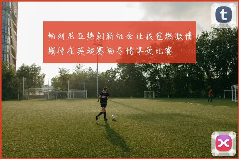 帕利尼亚热刺新机会让我重燃激情期待在英超赛场尽情享受比赛