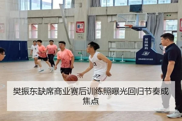 樊振东缺席商业赛后训练照曝光回归节奏成焦点 - KYgaming
